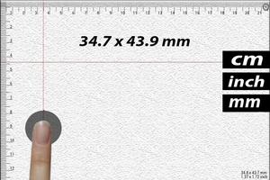 Ruler Inches Affiche