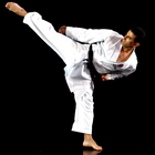 PocketPT - Shotokan Karate icône