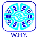 Why_beta APK