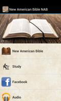 New American Bible NAB plakat