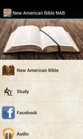 New American Bible NAB poster