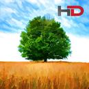 Live Wallpapers HD APK
