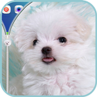 Puppy Zipper Sreen Lock icon