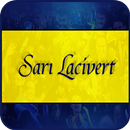 Sarı Lacivert Bilgi Yarışması APK