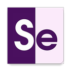 Studio East - Exeter icon