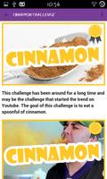 Youtuber Challenges ảnh chụp màn hình 3