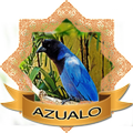 2017 Chilrear Azulão
