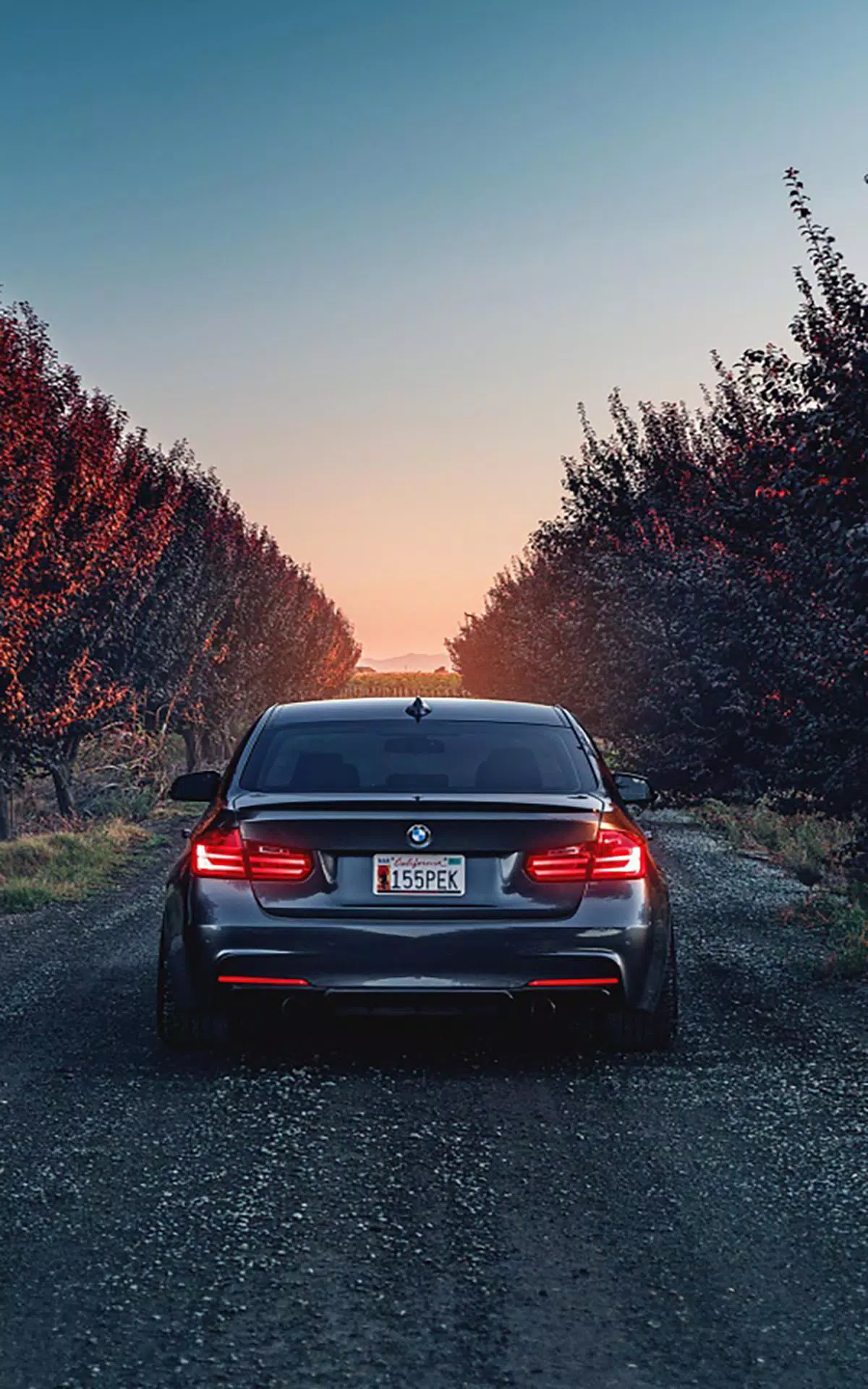 Red Bmw Car Wallpaper Hd