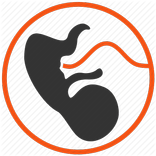 Guide your Pregnancy App