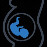 The Pregnancy Health Programme スクリーンショット 1