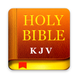 Holly Bible icon