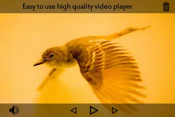 Скачать MX Player APK
