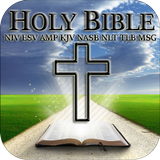 Bible Study NIV KJV AMP NASB icône