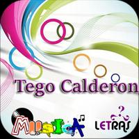 Tego Calderon Musica Letras v1 capture d'écran 1