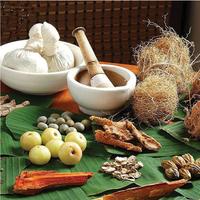 3 Schermata 1001 Obat Tradisional