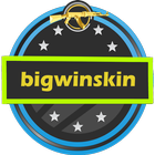 BigWinSkin for CS:GO 图标