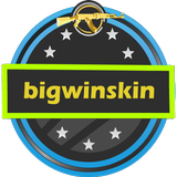 BigWinSkin for CS:GO icon