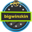 BigWinSkin for CS:GO