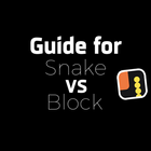 Guide for Snakes Vs Blocks-icoon