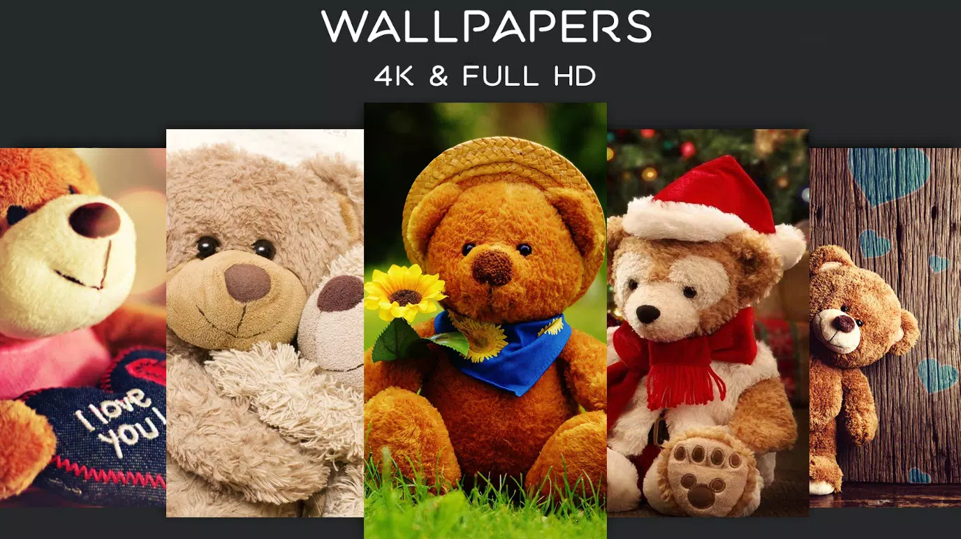 下载Teddy Bear Wallpapers 4K | Full HD Backgrounds 😍的安卓版本 下载Teddy Bear Wallpapers 4K | Full HD Backgrounds 😍的安卓版本