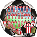 Icon Keyboard For PSV APK