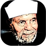 اقوال محمد متوالي الشعراوي