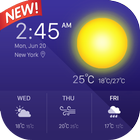 ikon Weather Forecast Pro