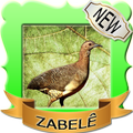 Novo zabelê chilrear