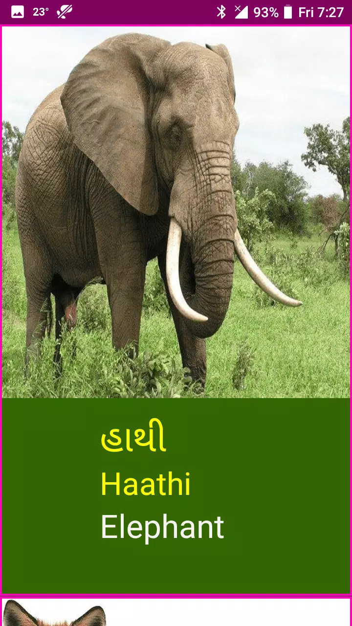 Learn Gujarati Wildlife Names APK for Android Download Learn Gujarati Wildlife Names APK for Android Download