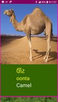 Learn Gujarati Wildlife Names imagem de tela 3
