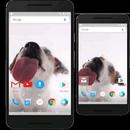 Dog Licks Screen Wallpaper APK