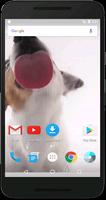Dog Licks Screen Wallpaper capture d'écran 3