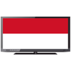 APK INDONESIA TV