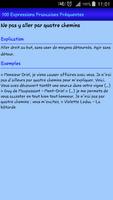 100 Expressions Françaises Screenshot 3
