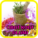 Ramuan Resep Obat Kuat Alami Tahan Lama APK