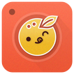 Kawaii Camera Stickers
