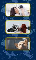 Dog Translator to Human पोस्टर