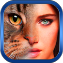 Funny Morphing Animal Face APK