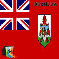 Bermuda TV GUIDE Plakat