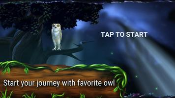 Owl's Midnight Journey - Free poster