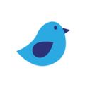 Rising Bird