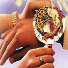 Raksha Bandhan songs in Hindi 아이콘