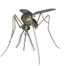 3D Mosquito Explorer APK
