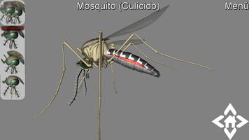 3D Mosquito Explorer capture d'écran 2