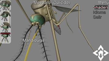 3D Mosquito Explorer Affiche