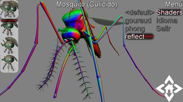 3D Mosquito Explorer capture d'écran 1