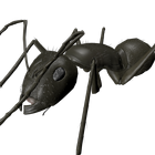 3D Ant Explorer Demo icône