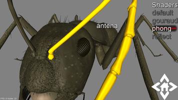 3D Ant Explorer Demo capture d'écran 1