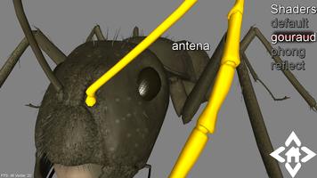 3D Ant Explorer Demo capture d'écran 2