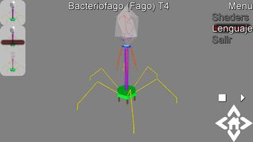 3D Bacteriophage T4 Explorer Affiche